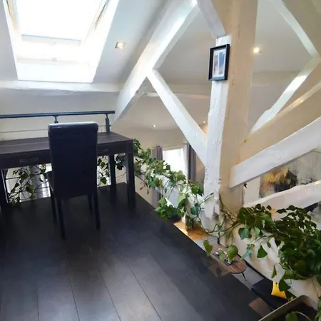 公寓 Duplex Elegant & Moderne - 3 - Rooftop Terrasse & Jacuzzi- Chelitz *